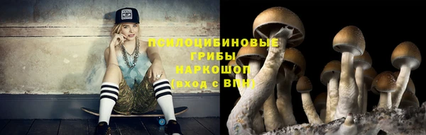 ГАЛЛЮЦИНОГЕННЫЕ ГРИБЫ Ладушкин