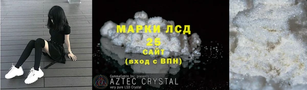 ГАЛЛЮЦИНОГЕННЫЕ ГРИБЫ Ладушкин
