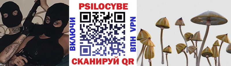blacksprut как зайти  Починок  Псилоцибиновые грибы Magic Shrooms 